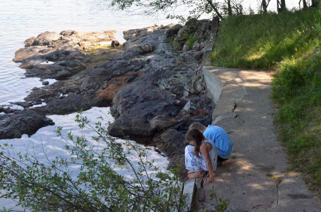 McGregor Lake Cottage exposed rock in late summer